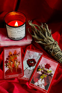 The Lovers- 3 card tarot reading