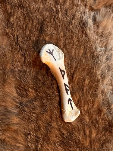 Spell Bones
